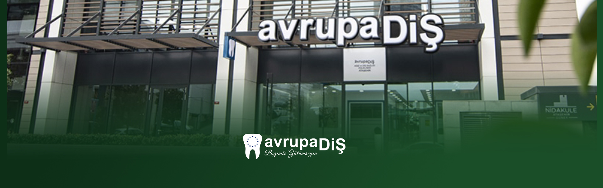 Avrupa DİŞ