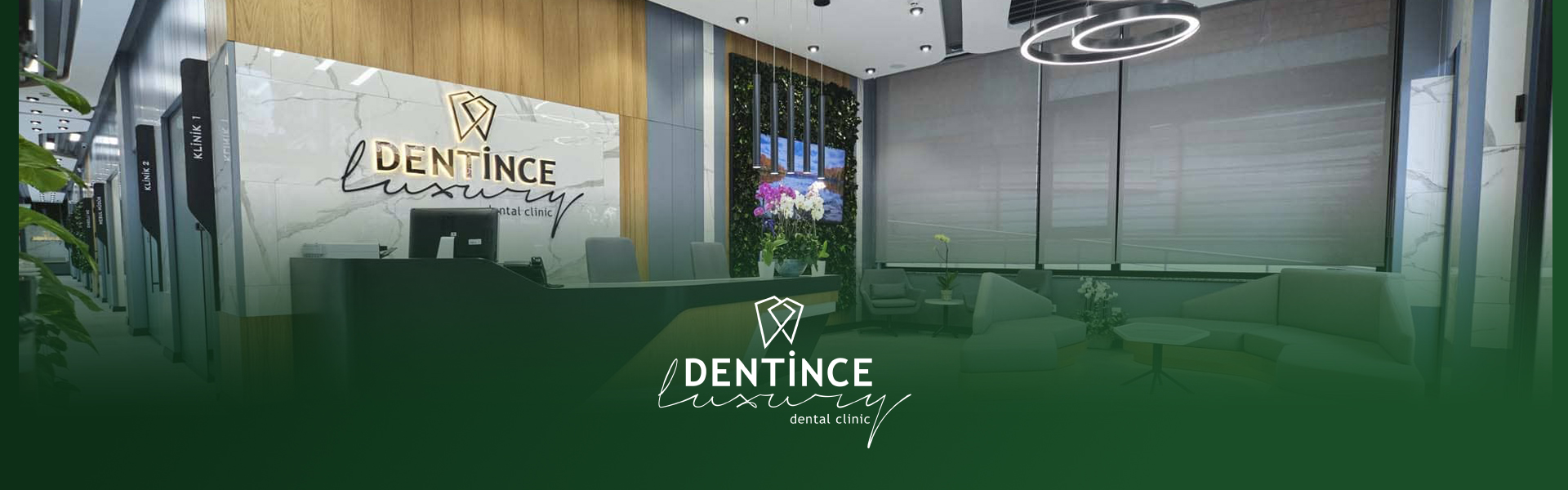 Dentince