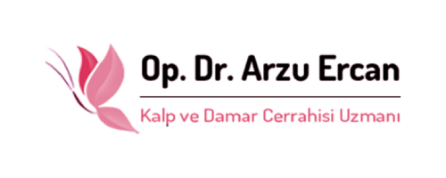 arzu ercan