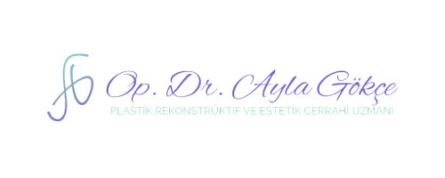 ayla gökçe