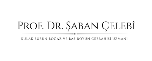 şaban çelebi