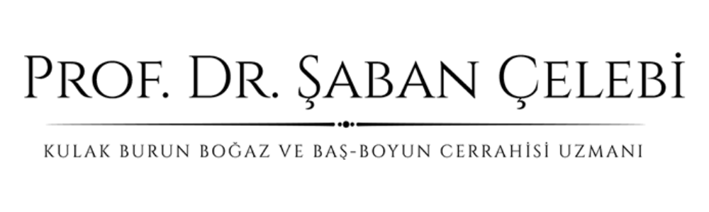 şaban çelebi