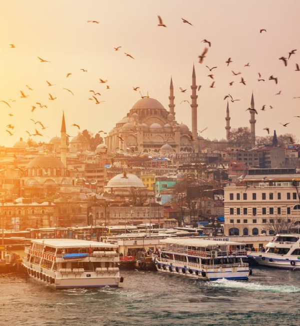 Projemed Yapım Projemed Yapım